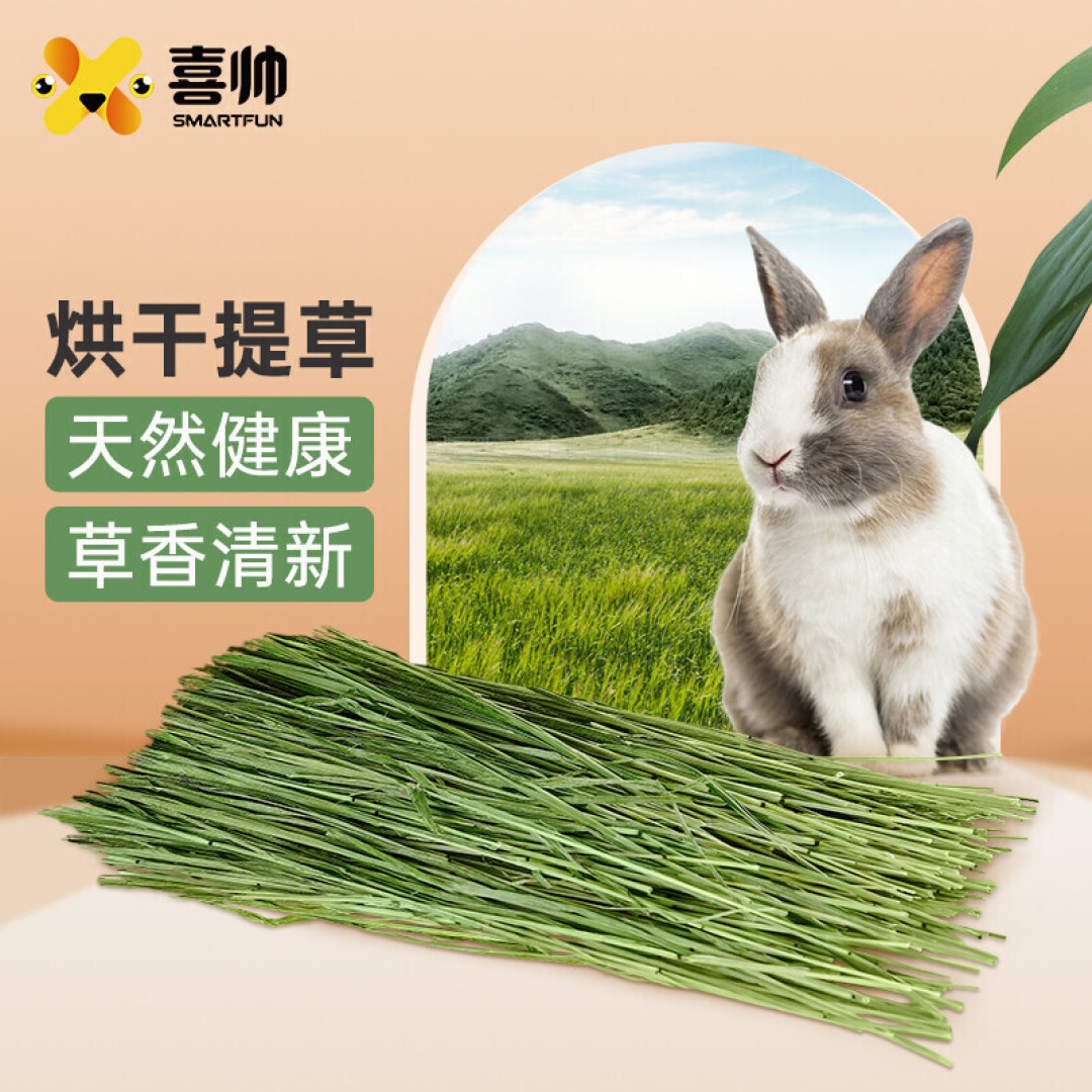 养兔小攻略，满足你兔年摸兔头，万事不用愁的心愿。