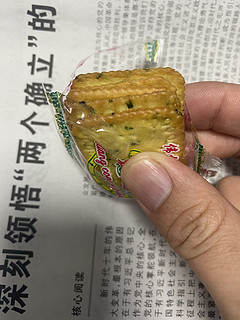 伟龙香葱鸡片薄脆饼干薄饼小包装葱油味