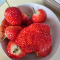 生活总要带点甜蜜，餐后水果来一波！