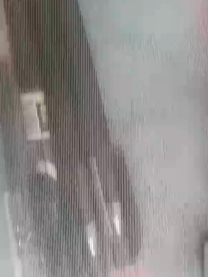 晨光文具盒/袋