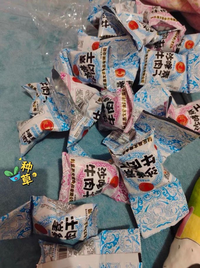 家城其他休闲零食
