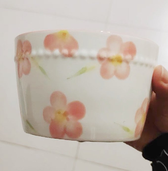 舍里碗