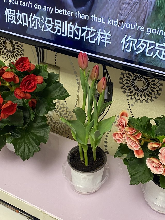 每天心情都好的小妙招～