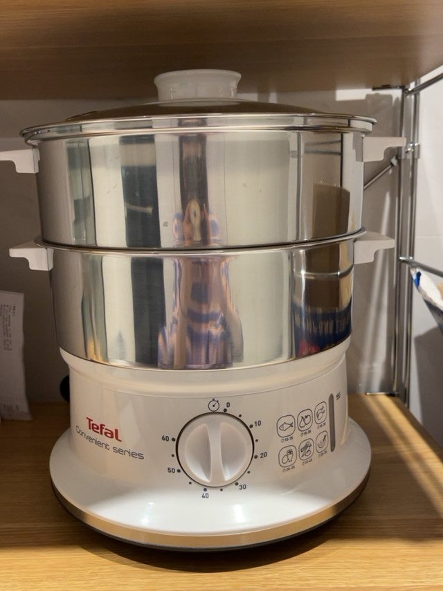 终于买到洋气的电蒸锅了～