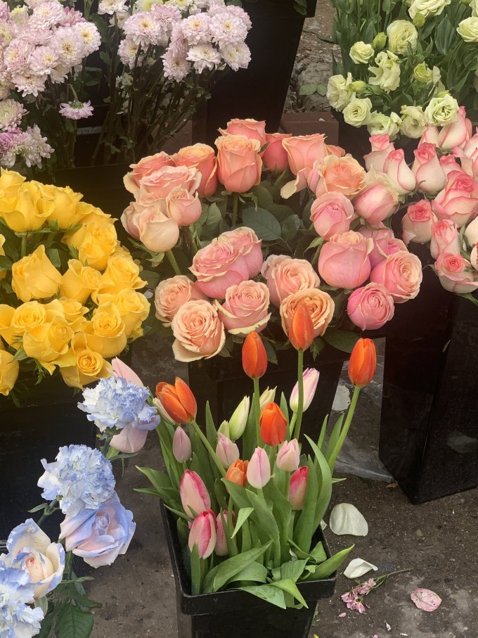 一枝春鲜花