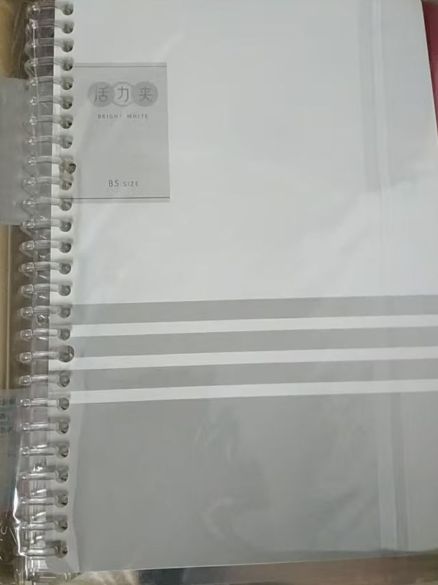 晨光(M&G)文具B5/60张/26孔横线活页本