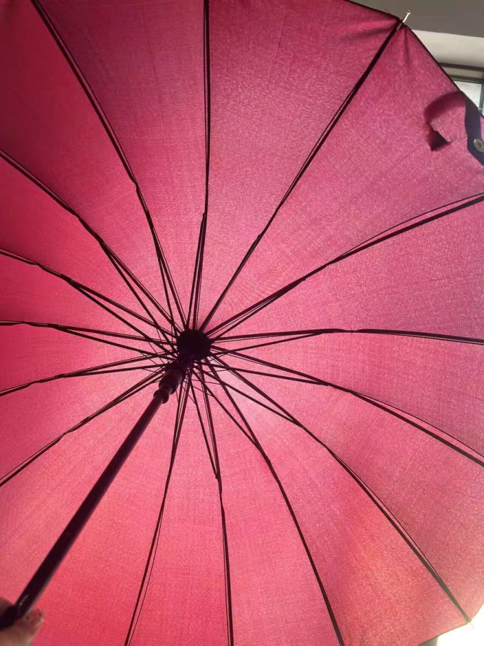 雨伞