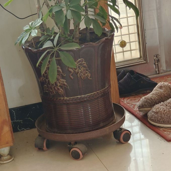 花盆