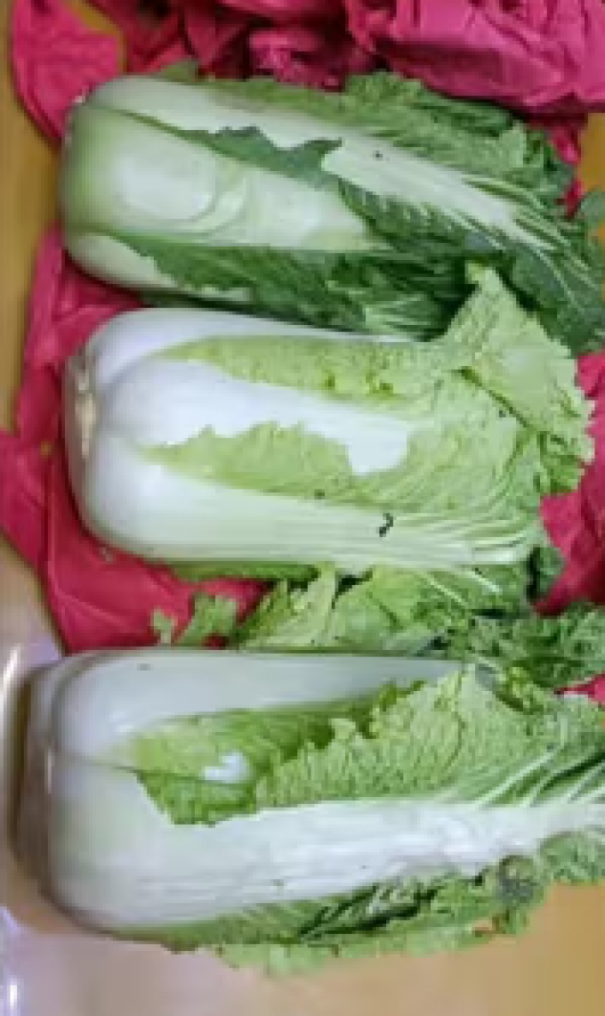 蔬菜