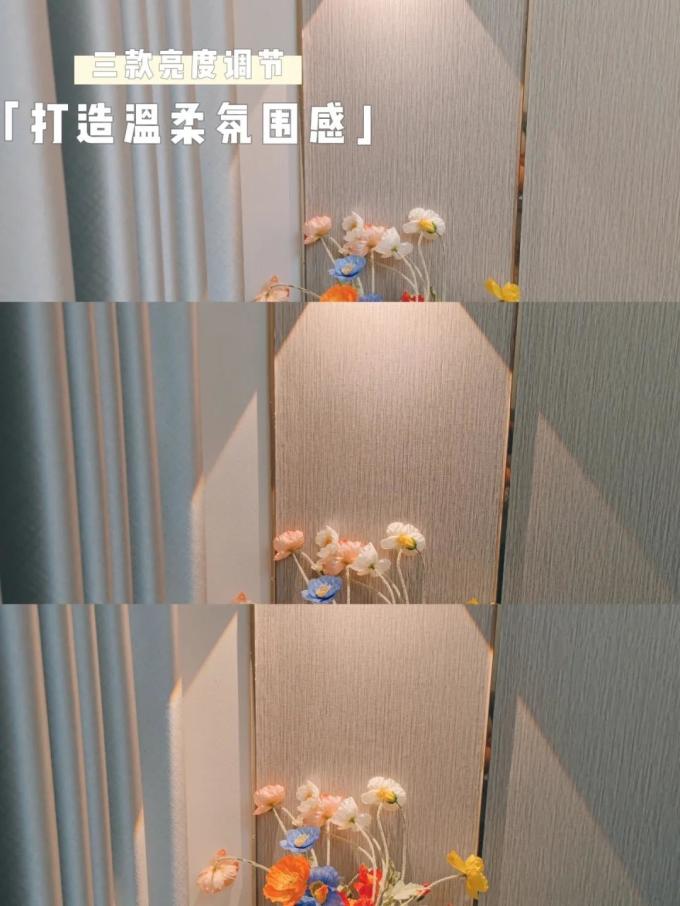 新特丽吊灯