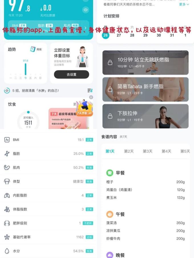 云麦健康秤