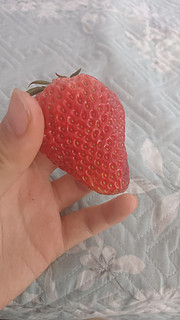 实现草莓🍓自由~~