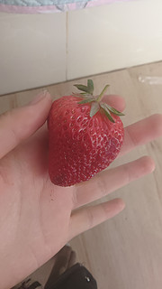 实现草莓🍓自由~~