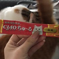 猫咪小零食