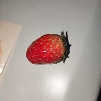 新鲜章姬甜宝圣丹东