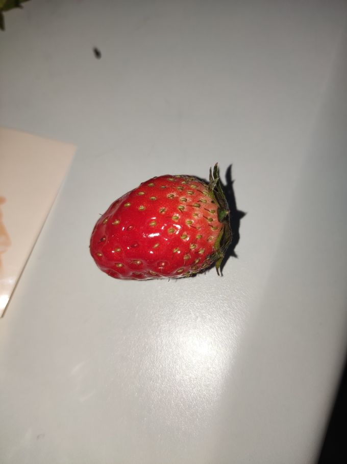 草莓