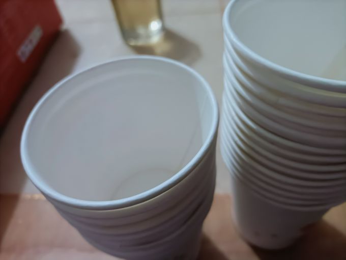 风笛一次性餐具