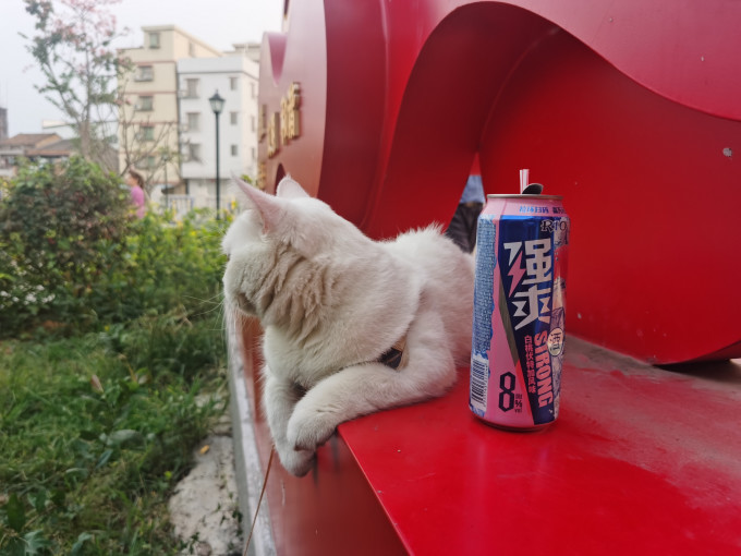 锐澳其他酒类