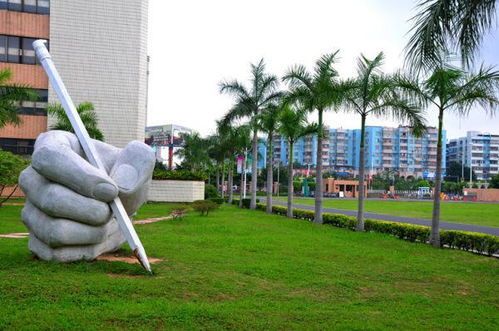 回忆学生时代，那些年的青葱岁月。