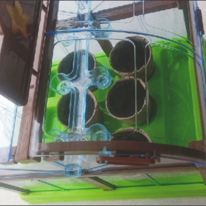 中盛创意玩具