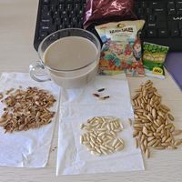报告 老板我又摸鱼了