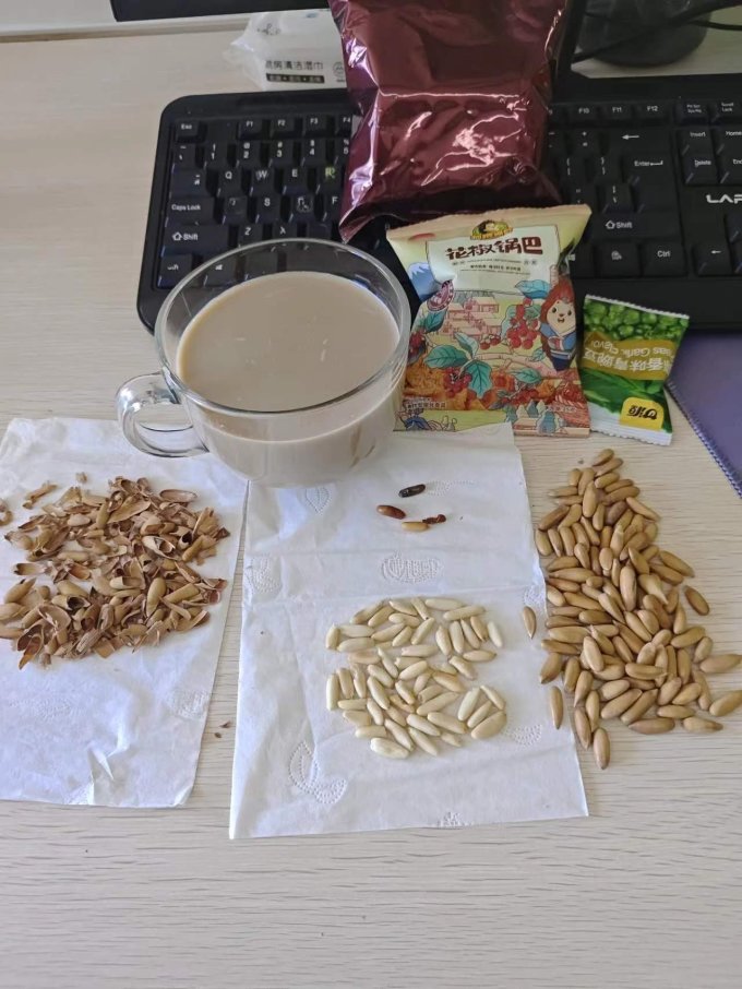 陈琦松子