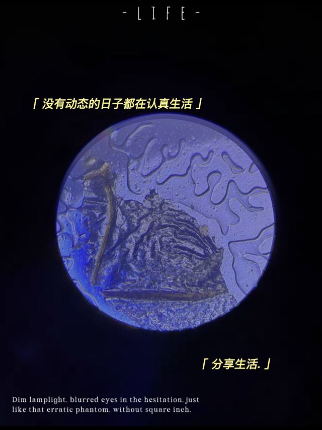 给小孩子的大玩具，我都喜欢了