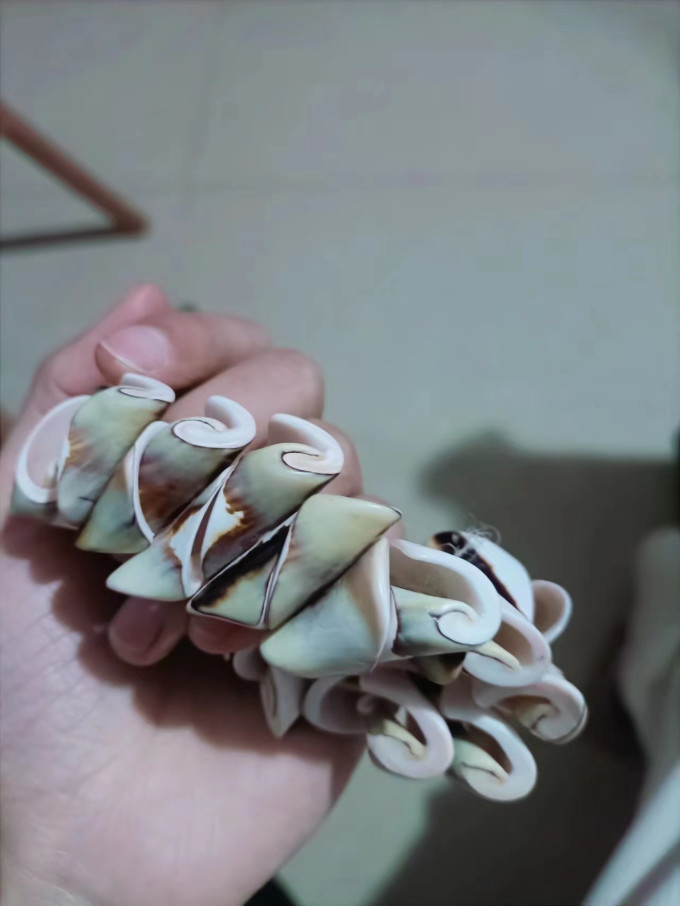 时尚手镯/手链/脚链