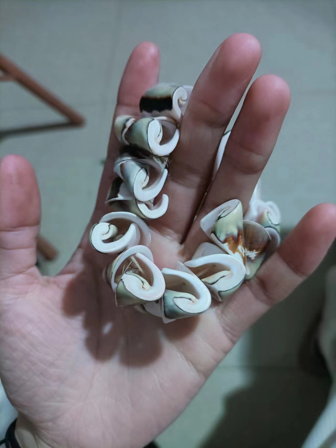 时尚手镯/手链/脚链