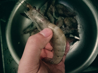 这个青岛大虾也太好吃了吧