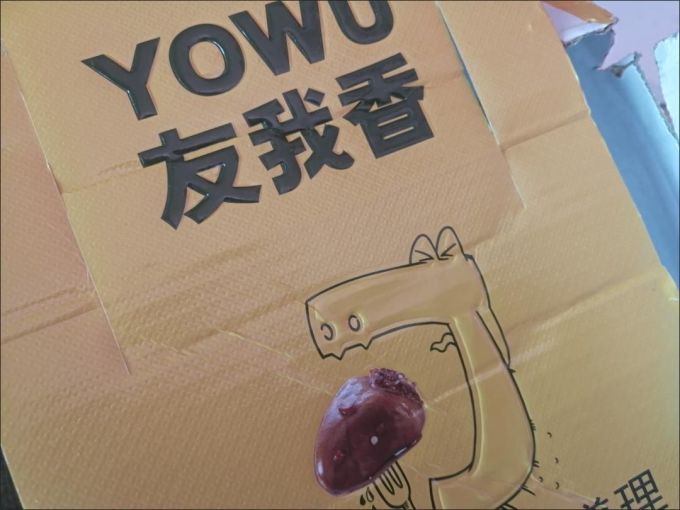 友我香其他休闲零食