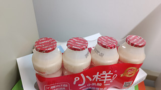 好喝的饮品--小样乳酸菌