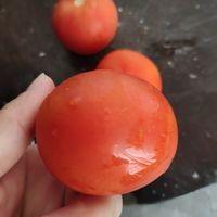 酸酸甜甜就是西红柿