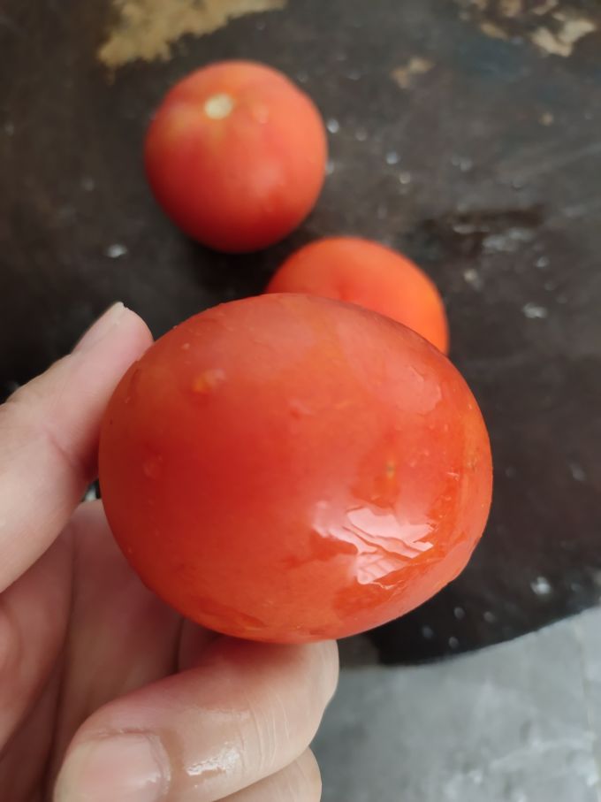 静益乐源蔬菜