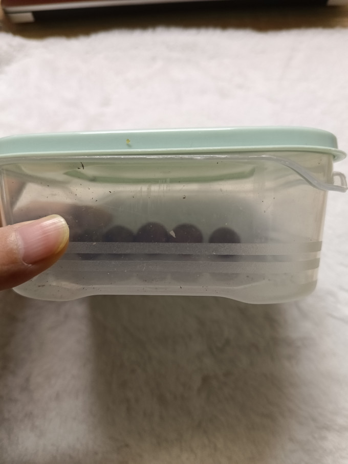 造物小生收纳保鲜