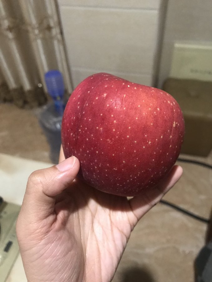 塞外红苹果
