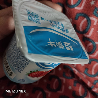 蒙牛风味乳酸菌酸牛奶