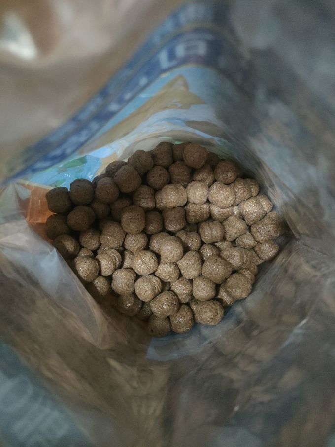 优品康冲调饮品