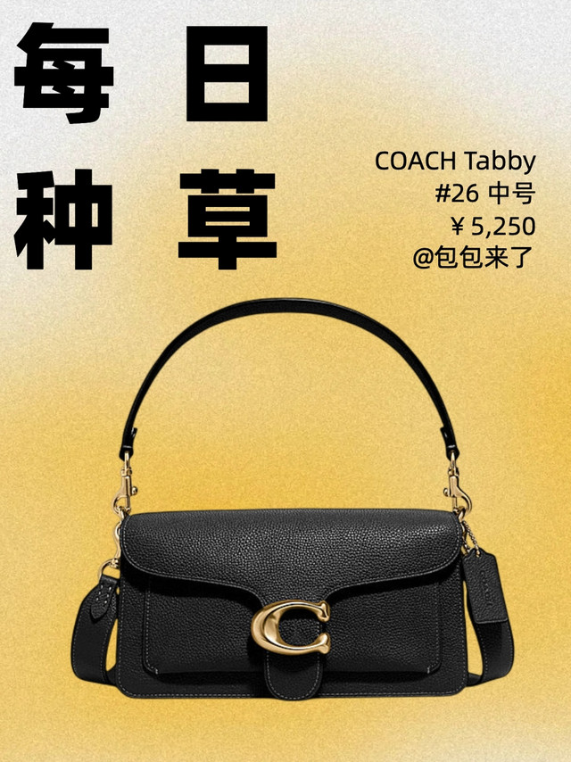 每天种草一只包｜COACH TABBY 26号单肩包