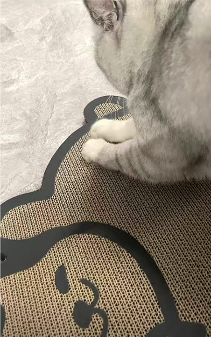 猫玩具