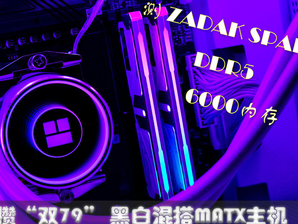 ZADAK SPARK DDR5内存开箱评测，攒黑白主机