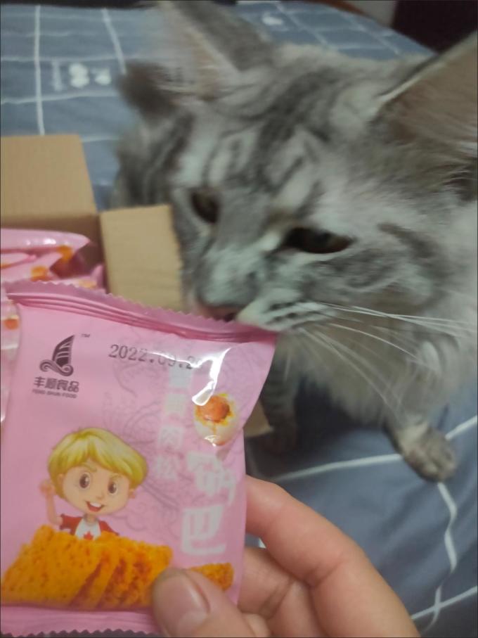 丰顺食品膨化食品