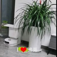 挺智能的扫地机器人,极大方便了生活