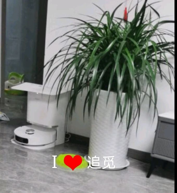 追觅扫拖一体机