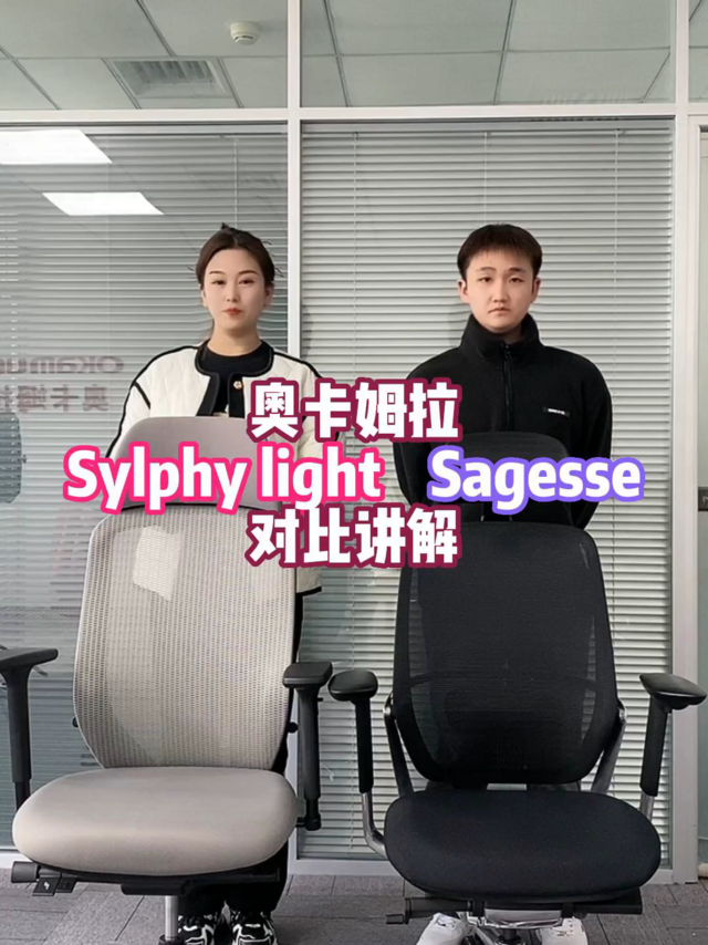 奥卡姆拉sylphy light与sagesse对比推荐