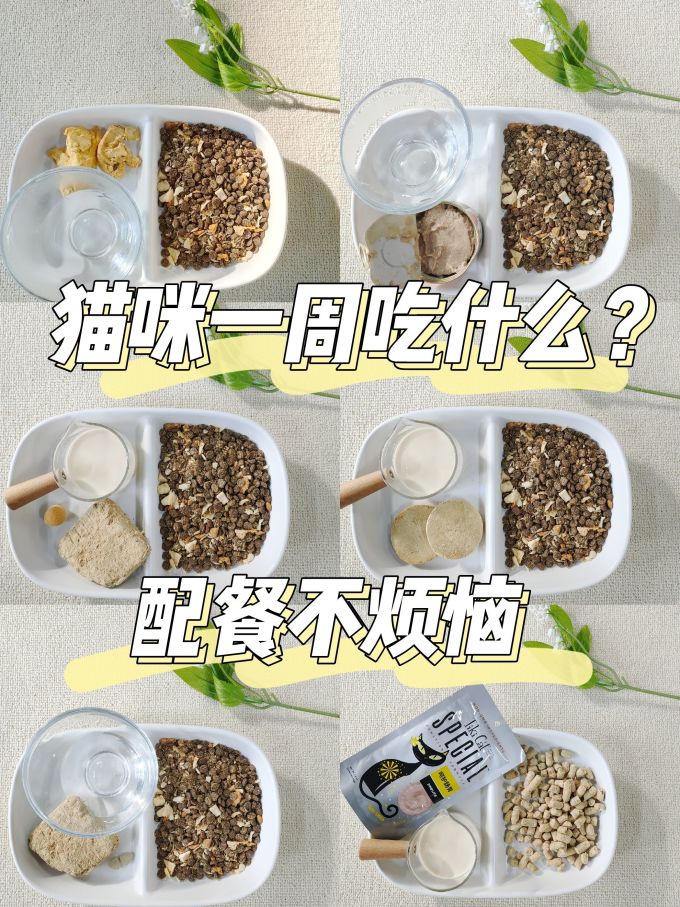 麦德氏兔子粮