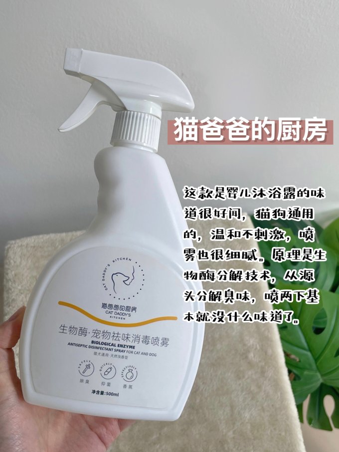 狮王宠物洗护美容