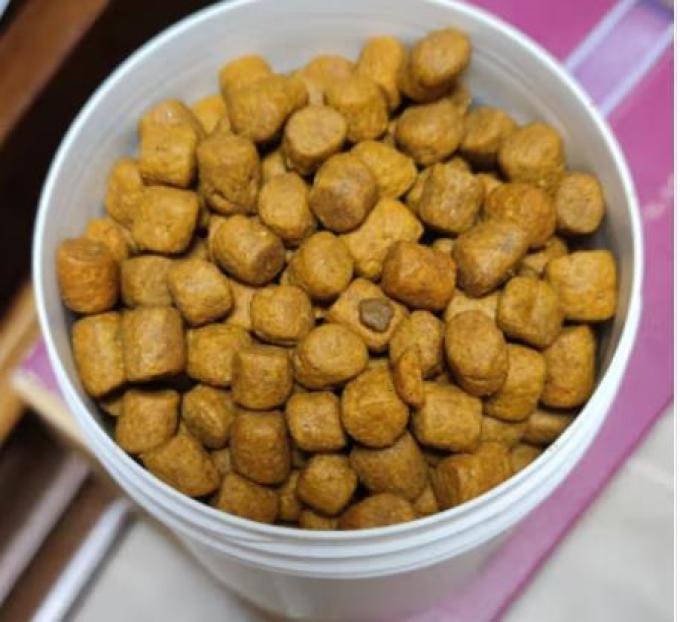 齿一生猫零食
