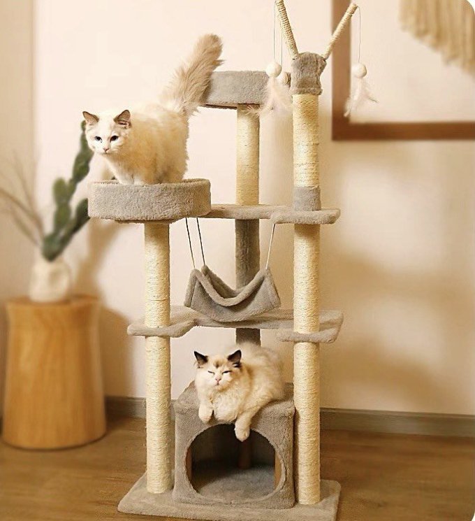 宠袋猫玩具