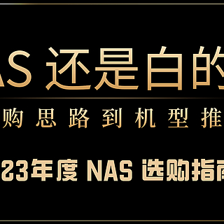 家庭网络折腾笔记 篇三十七：NAS 还是白的香，从选购思路到机型推荐，一篇文章给你安排的明明白白丨2023年度 NAS 选购指南 